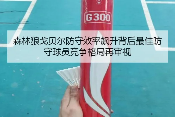 森林狼戈贝尔防守效率飙升背后最佳防守球员竞争格局再审视